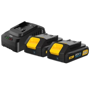 Lithium-ion battery and charger set